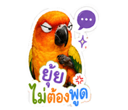 855072292