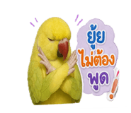 855072293