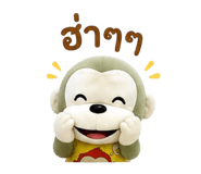 855075116