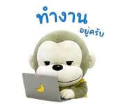855075127
