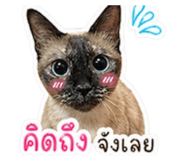 855080657