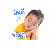 855081077