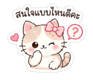 855081093