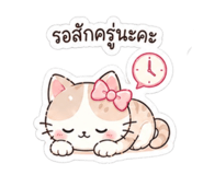 855081096