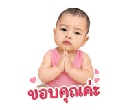 855081600
