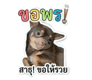 855081921