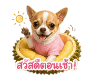855081937