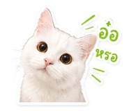 855084750