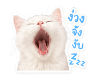 855084756