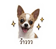 855085912
