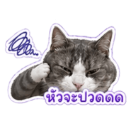 855087206