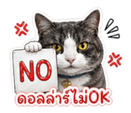 855087217