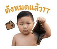 855088038