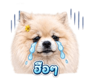 855090357