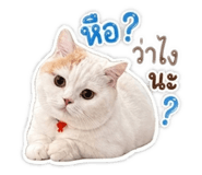 855090842