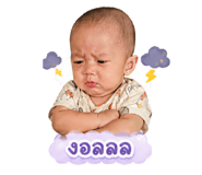 855090893
