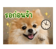 855090954
