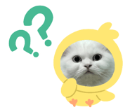 855093398