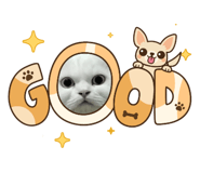 855093399