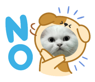 855093400
