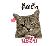855094090