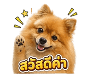 855094777