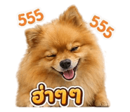 855094779