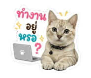 855095220