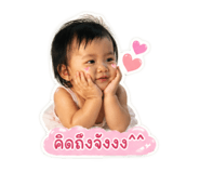 855095316
