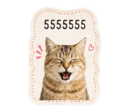 855097072
