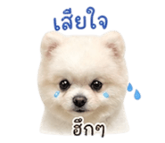 855097308