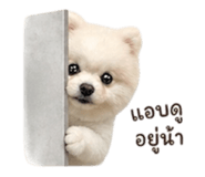 855097312