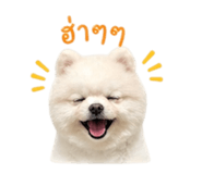 855097318