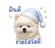 855097319
