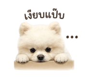 855097320