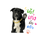 855098615