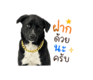 855098617