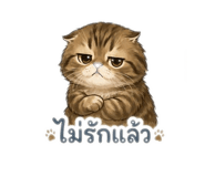 855098912