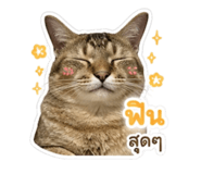 855099173