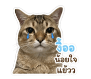 855099180