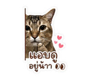 855099181