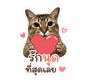 855099183