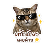 855099184