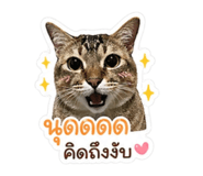 855099189