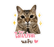855099192