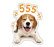 855112355