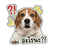 855112366