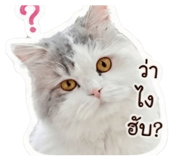 855112756