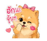 855114499