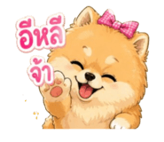 855114501